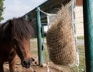 Net for medium mobile feeding trough, 110x90 cm - cod.CV0002